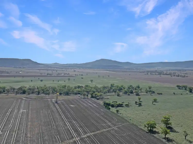 Sixth view of Homely rural property listing, 8354 Kamilaroi Highway, Curlewis NSW 2381