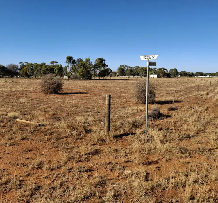 Main view of Homely land listing, LOT 395 and 396 Mitchell Street, Terowie SA 5421