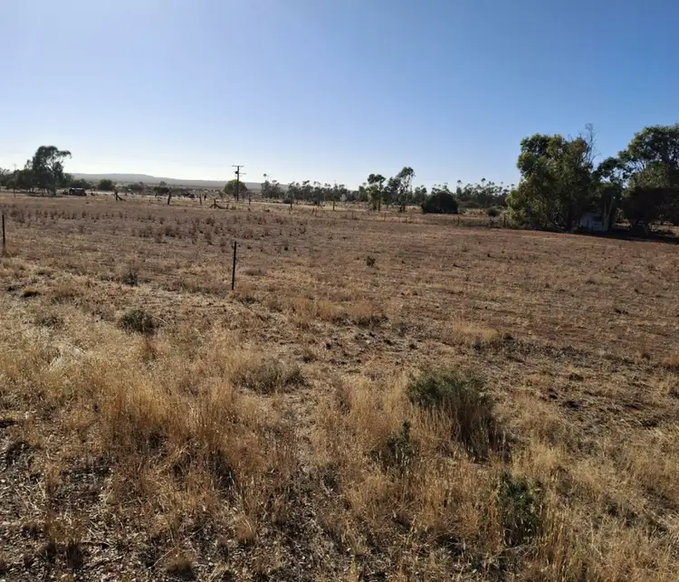 Third view of Homely land listing, LOT 395 and 396 Mitchell Street, Terowie SA 5421