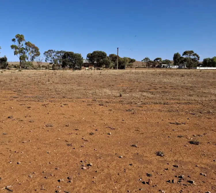 Fifth view of Homely land listing, LOT 395 and 396 Mitchell Street, Terowie SA 5421