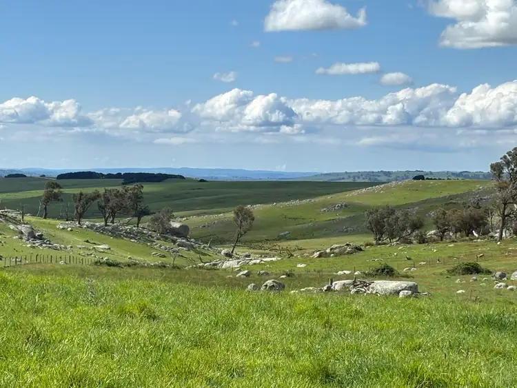 305 Willcox Road, Laggan NSW 2583