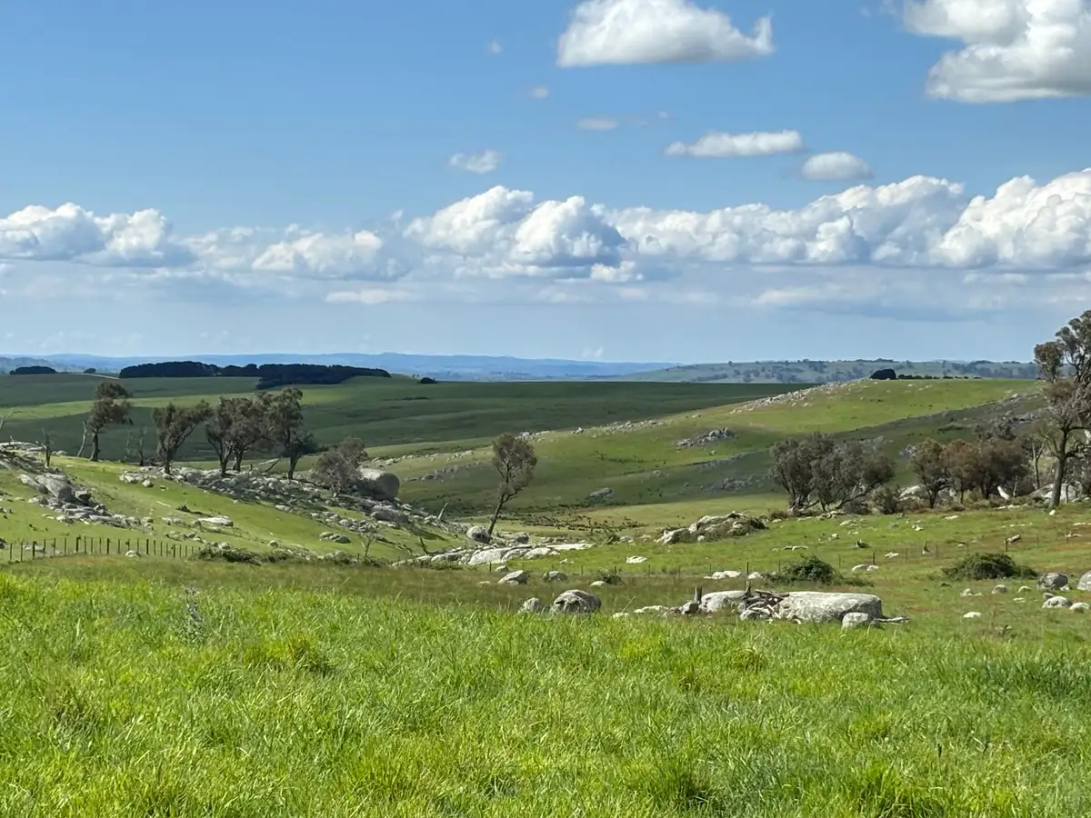 Main view of Homely rural property listing, 305 Willcox Road, Laggan NSW 2583