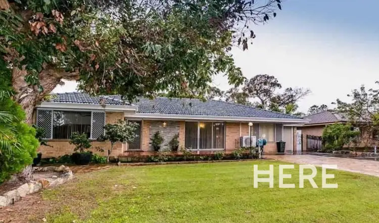 18 Williamstown Road, Doubleview WA 6018