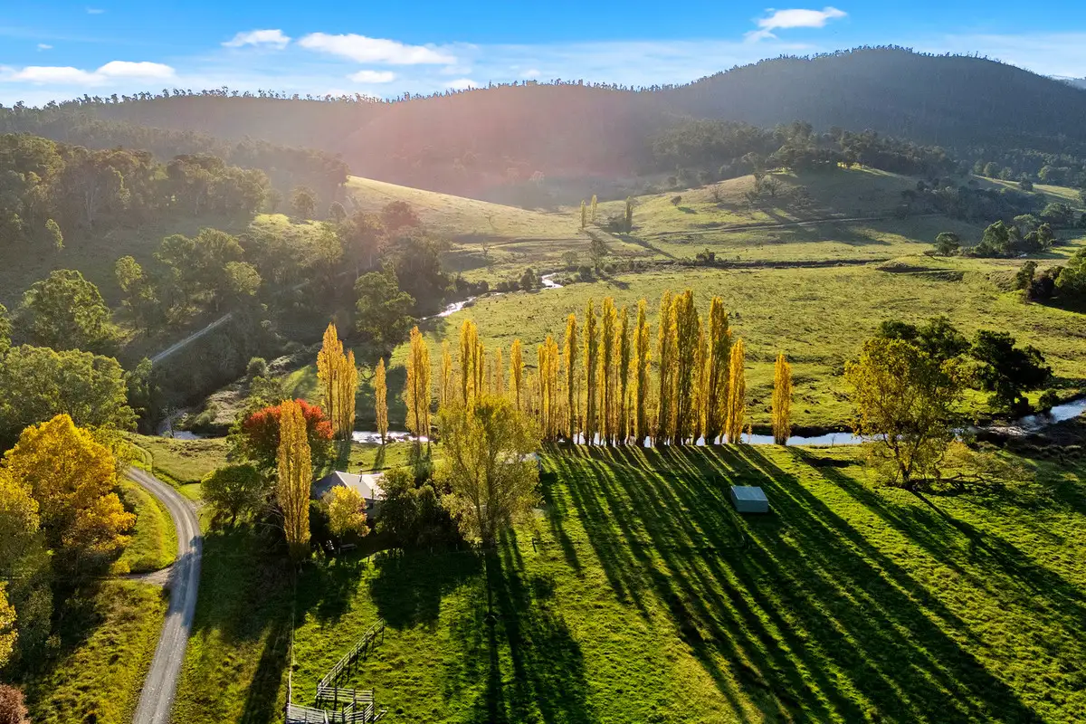 Main view of Homely rural property listing, 3306 Timbarra Road, Buchan VIC 3885
