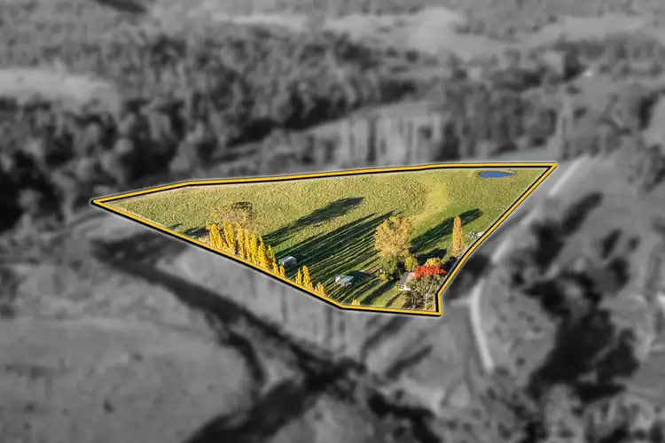 Second view of Homely rural property listing, 3306 Timbarra Road, Buchan VIC 3885
