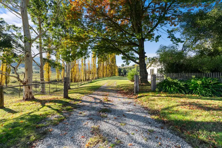 Sixth view of Homely rural property listing, 3306 Timbarra Road, Buchan VIC 3885