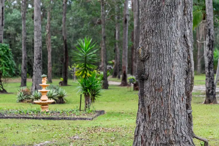 Second view of Homely rural property listing, 387 Serendipity Road, Tabbimoble NSW 2472