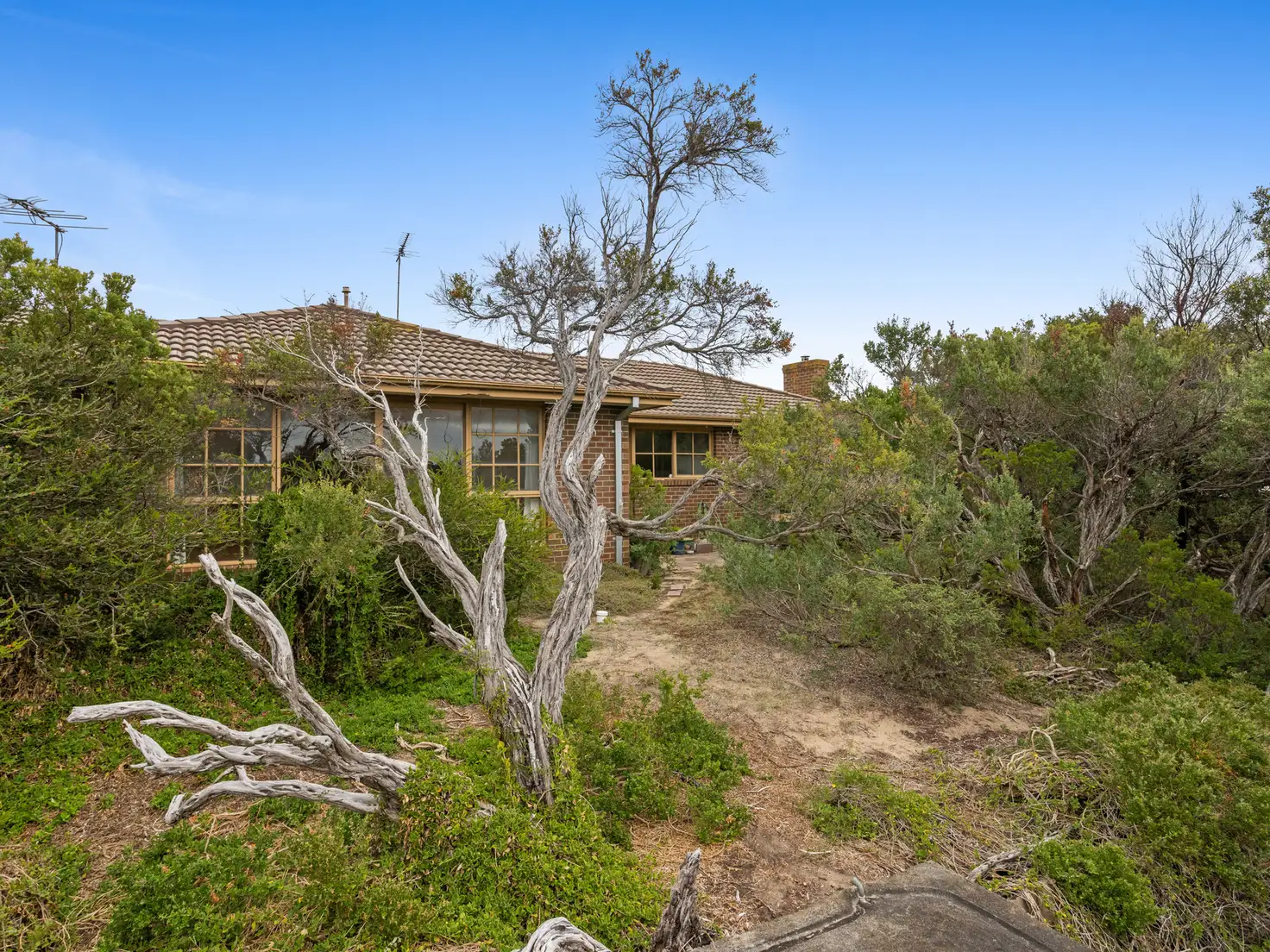 Main view of Homely house listing, 9 Alwyn Street, Rye VIC 3941