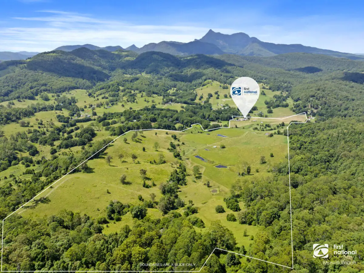 Main view of Homely rural property listing, 204 Zara Road, Zara NSW 2484
