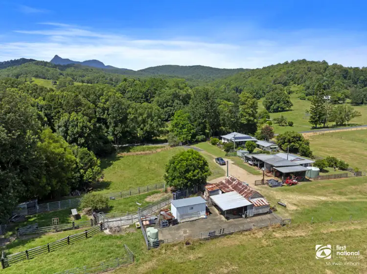 Third view of Homely rural property listing, 204 Zara Road, Zara NSW 2484