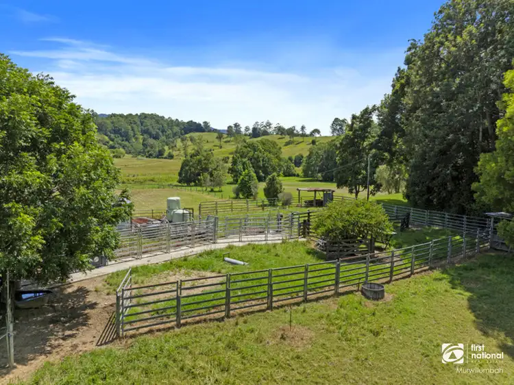Fourth view of Homely rural property listing, 204 Zara Road, Zara NSW 2484
