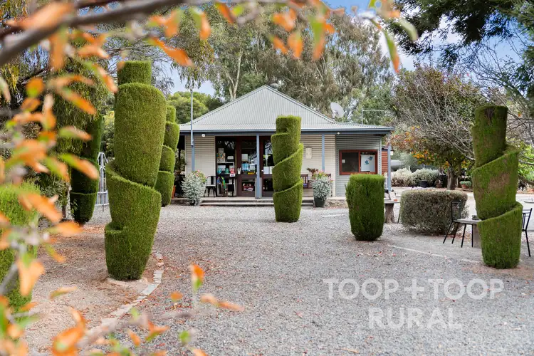 33 Jacka Road, Mintaro SA 5415