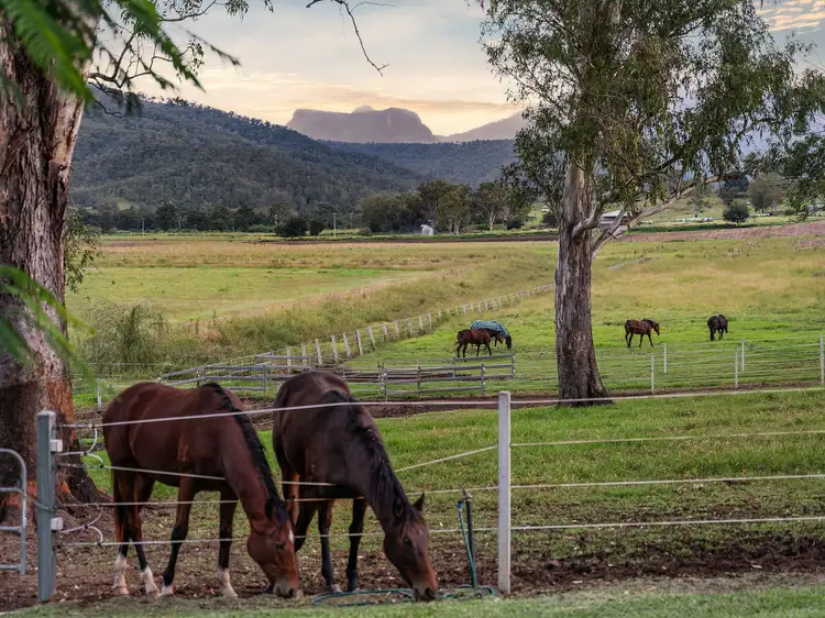 269 Mulgowie Road, Townson QLD 4341