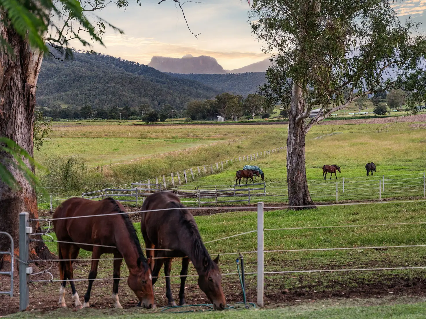 Main view of Homely house listing, 269 Mulgowie Road, Townson QLD 4341