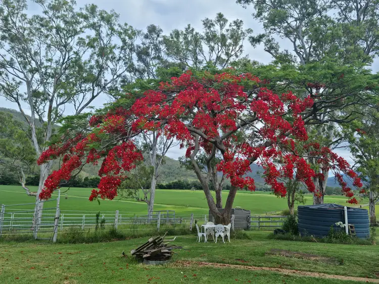 Second view of Homely house listing, 269 Mulgowie Road, Townson QLD 4341