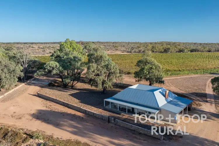 365 Murraylands Road, Morgan SA 5320