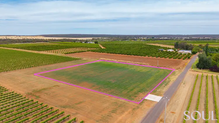 LOT 1 of 161, 296 McCarthy Road, Lake Wyangan NSW 2680