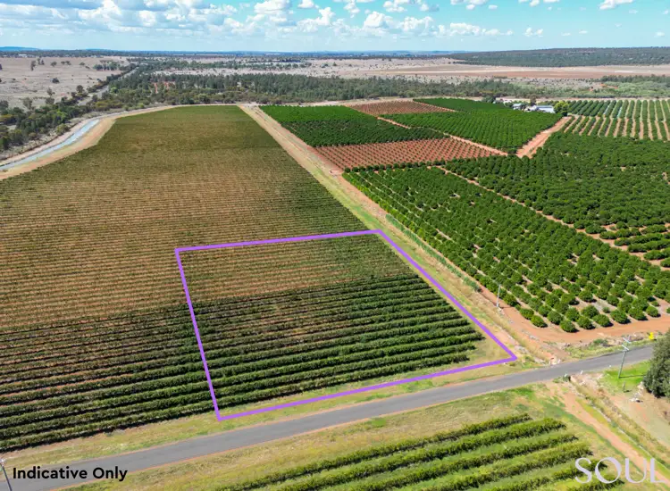 Main view of Homely land listing, LOT 1 of 161, 296 McCarthy Road, Lake Wyangan NSW 2680