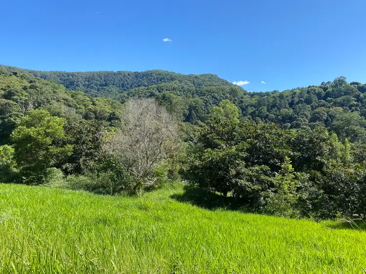 Fifth view of Homely house listing, 87 Golden Gully Road, Kin Kin QLD 4571