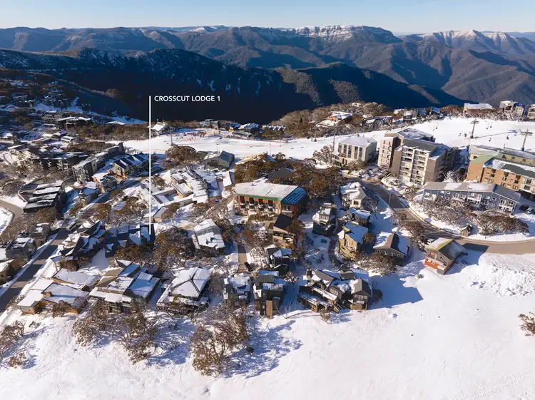 1/3 Beehive Lane, Mount Buller VIC 3723