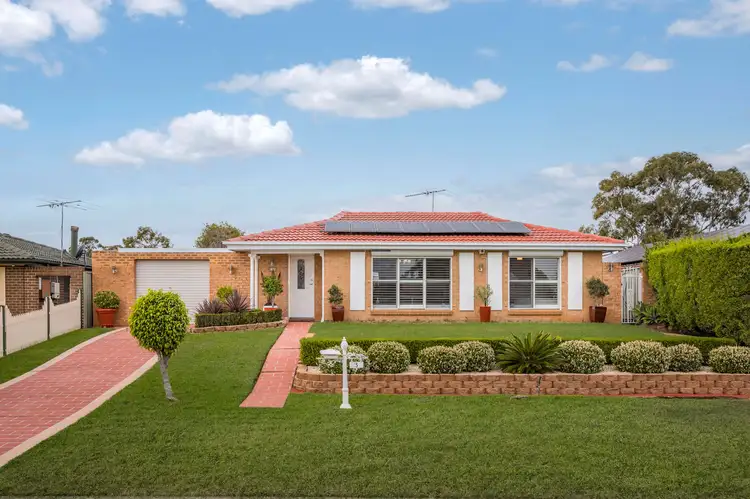 3 Brial Place, Minto NSW 2566