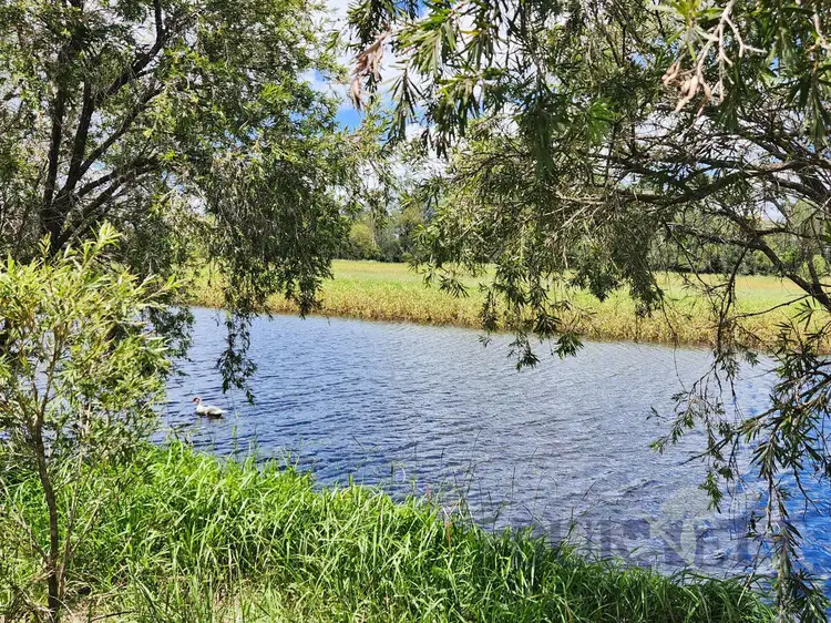Seventh view of Homely rural property listing, 356 Lower Lakeside Road, Lakeside QLD 4621
