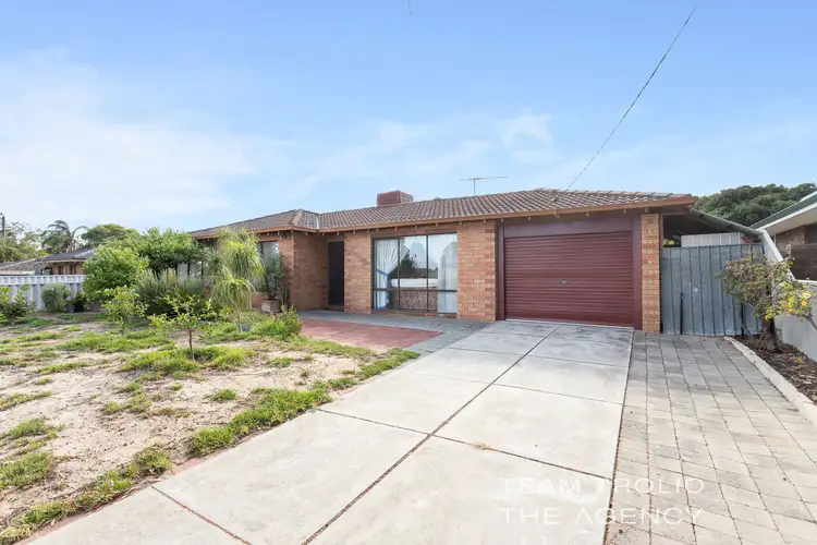 81 Strelitzia Avenue