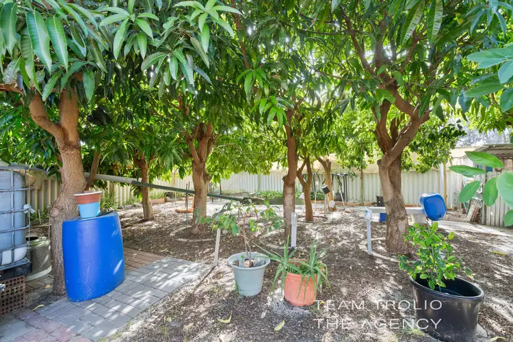 Third view of Homely house listing, 81 Strelitzia Avenue, Forrestfield WA 6058