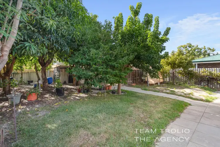 Sixth view of Homely house listing, 81 Strelitzia Avenue, Forrestfield WA 6058