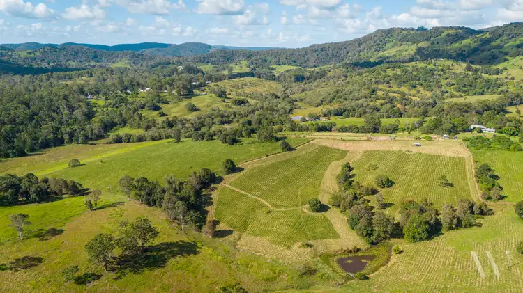 Sixth view of Homely rural property listing, 115 Pope Road, Mothar Mountain QLD 4570