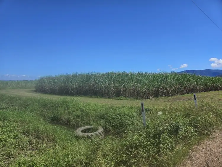 Second view of Homely rural property listing, LOT 2 Hawkins Creek Road, Hawkins Creek QLD 4850