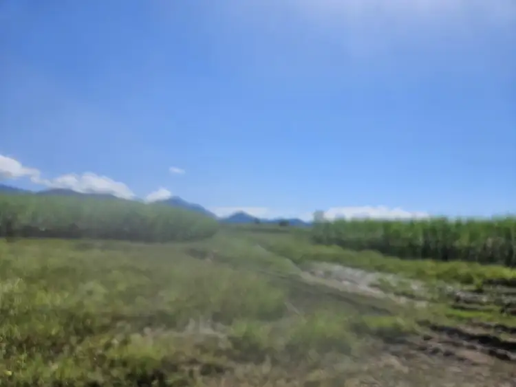 Sixth view of Homely rural property listing, LOT 2 Hawkins Creek Road, Hawkins Creek QLD 4850
