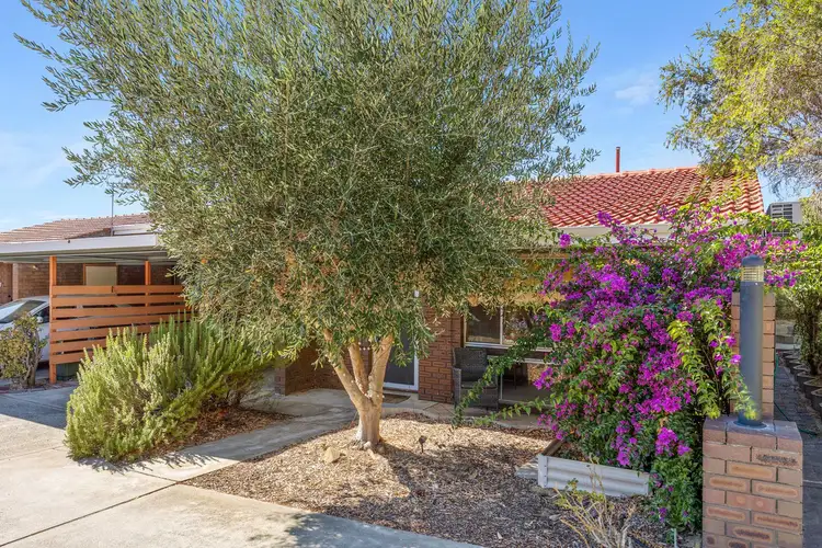 Main view of Homely villa listing, 8/5 Haig Street, Tuart Hill WA 6060