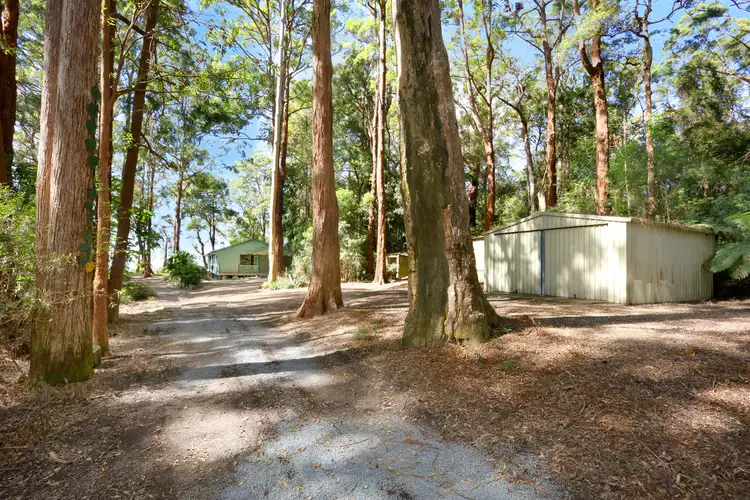 1961 Springbrook Road, Springbrook QLD 4213