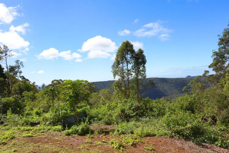 Third view of Homely house listing, 1961 Springbrook Road, Springbrook QLD 4213