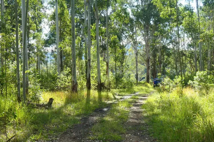 146 Mills Road, Bean Creek NSW 2469