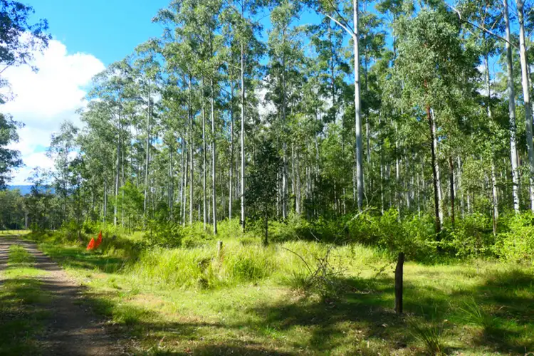 Second view of Homely rural property listing, 146 Mills Road, Bean Creek NSW 2469