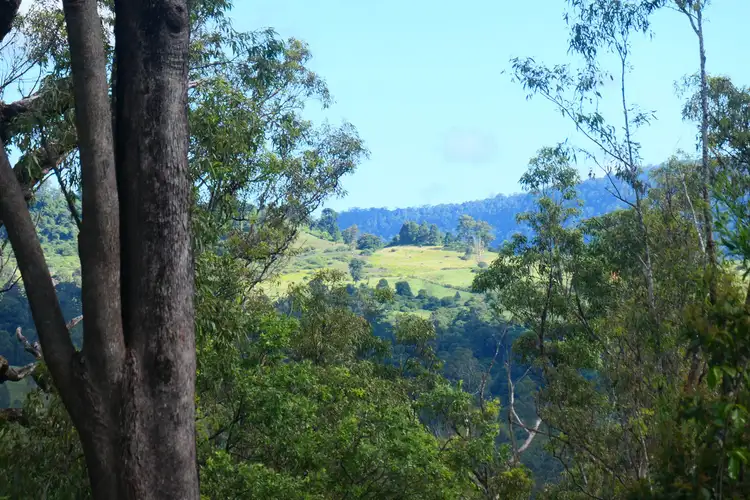 Fifth view of Homely rural property listing, 146 Mills Road, Bean Creek NSW 2469