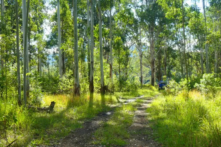 Sixth view of Homely rural property listing, 146 Mills Road, Bean Creek NSW 2469