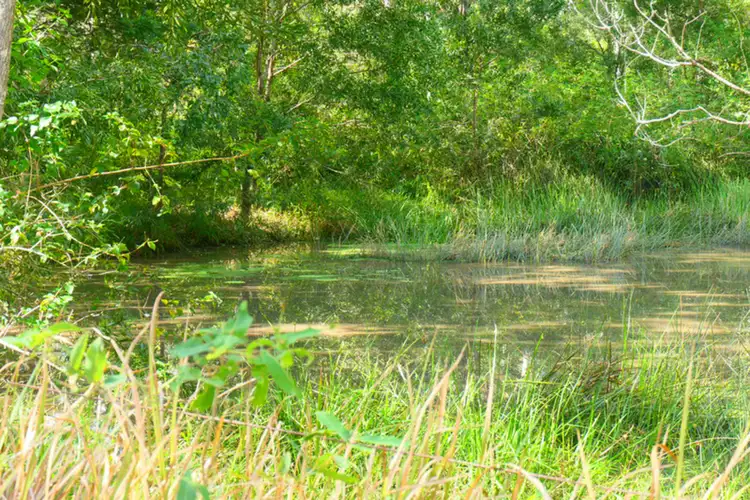 Seventh view of Homely rural property listing, 146 Mills Road, Bean Creek NSW 2469