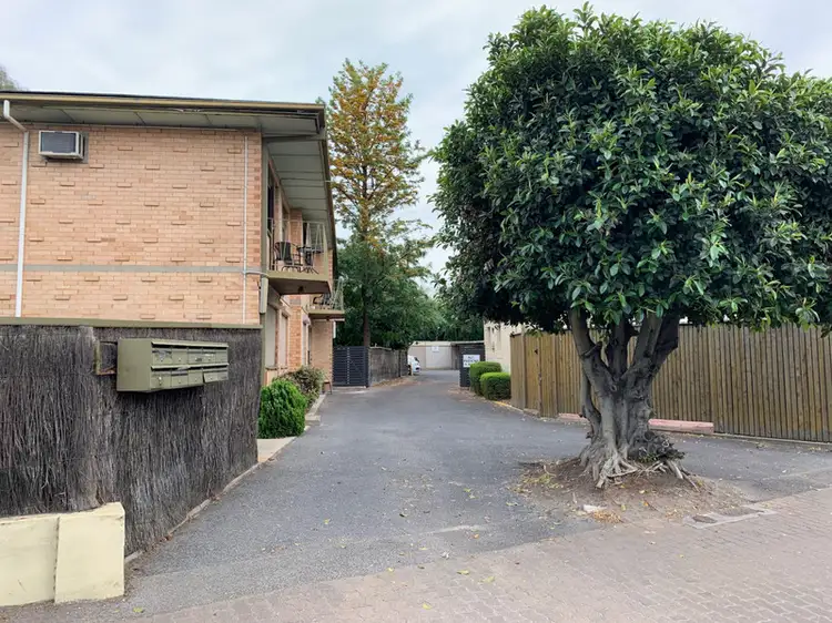 1/3-5 North East Road, Collinswood SA 5081
