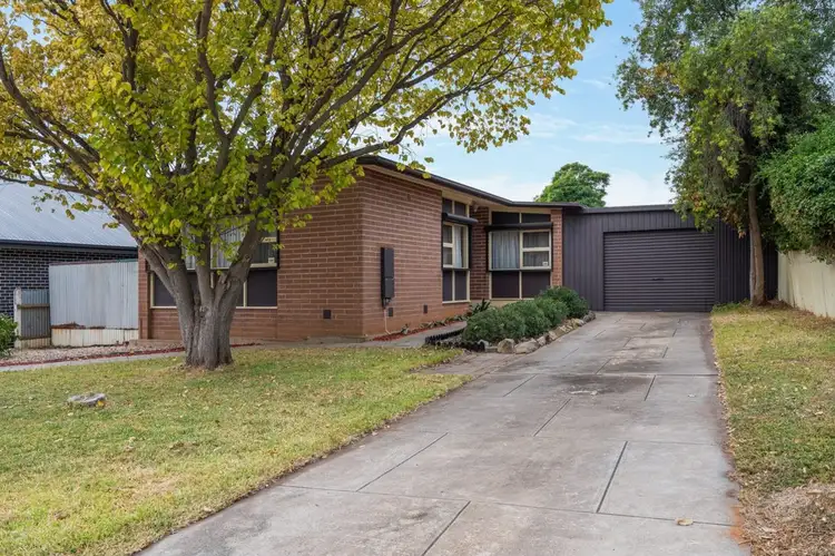 6 Lara Street