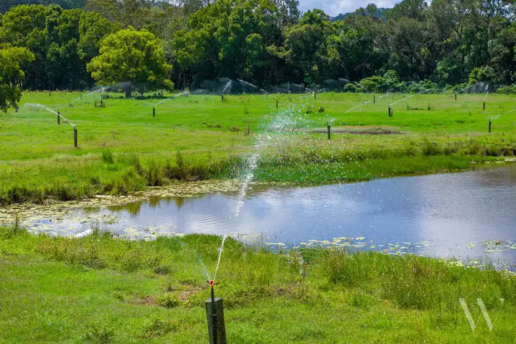 Fifth view of Homely rural property listing, 4015 Mary Valley Road, Brooloo QLD 4570