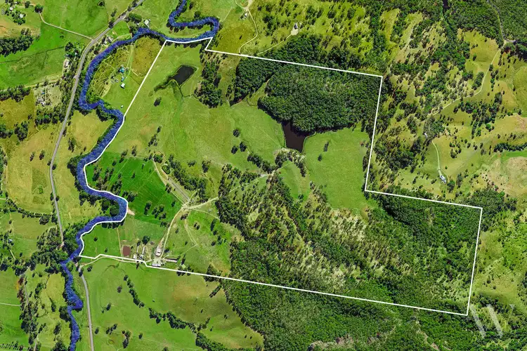 Fifth view of Homely rural property listing, 4015 Mary Valley Road, Brooloo QLD 4570