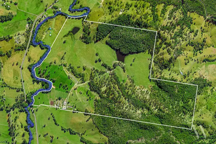 Sixth view of Homely rural property listing, 4015 Mary Valley Road, Brooloo QLD 4570