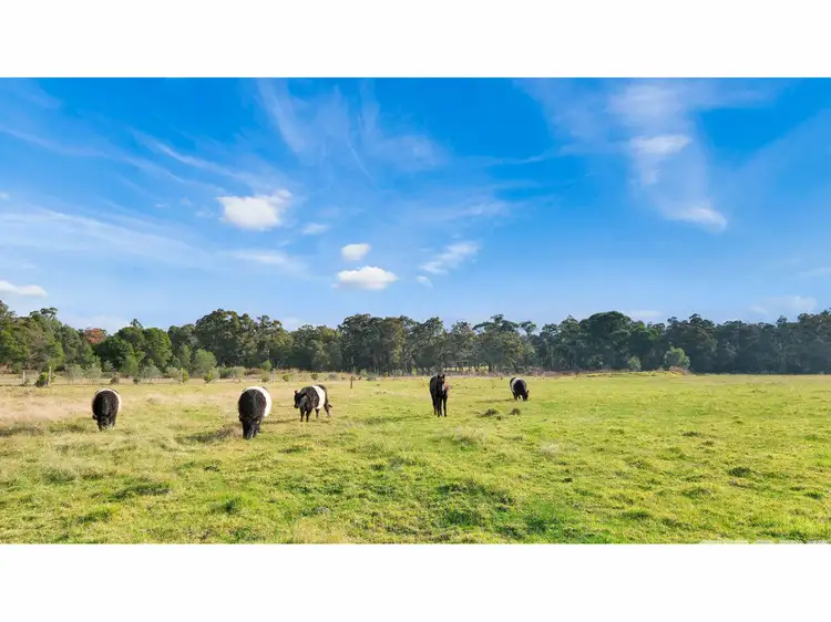 665 Nicholson-Sarsfield Road, Sarsfield VIC 3875