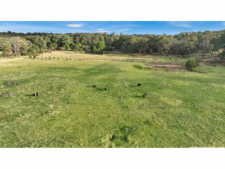 Second view of Homely rural property listing, 665 Nicholson-Sarsfield Road, Sarsfield VIC 3875