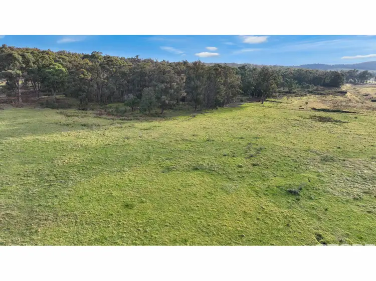 Sixth view of Homely rural property listing, 665 Nicholson-Sarsfield Road, Sarsfield VIC 3875
