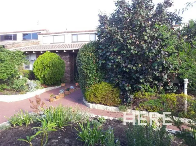 8/125 Waterloo Street, Tuart Hill WA 6060