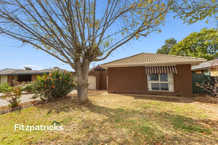 43 Adjin Street, Mount Austin NSW 2650